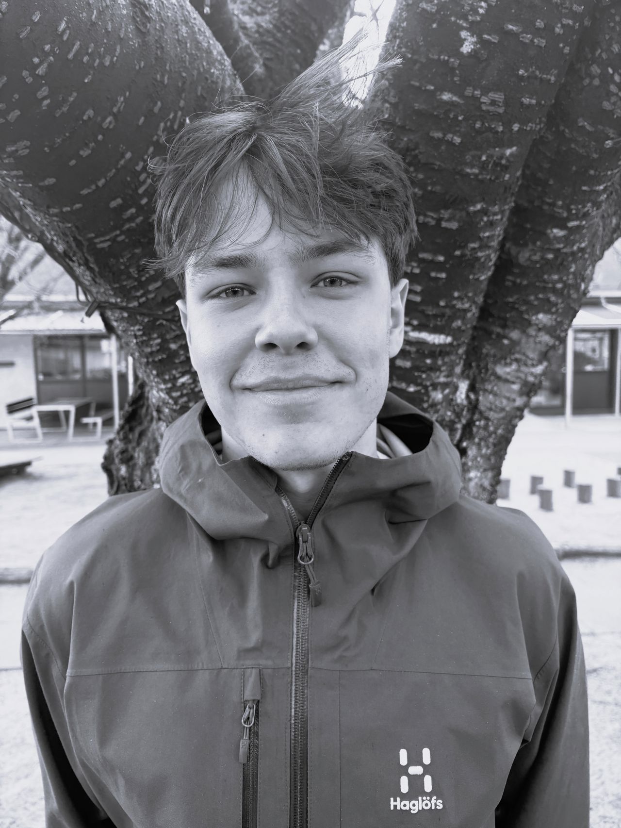 Mikkel